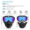 FabSports MultiColor Skull Design protective goggles Mask