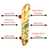 FabSports 23" x  6" inch Beginners Skateboard for Kids & teens